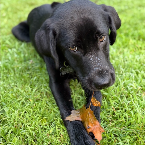 Meet your Part time Posher, full time zoo keeper - Picture 13 of 15